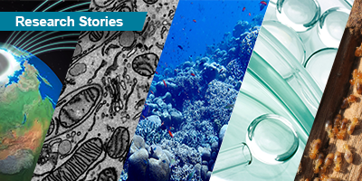 Research Stories